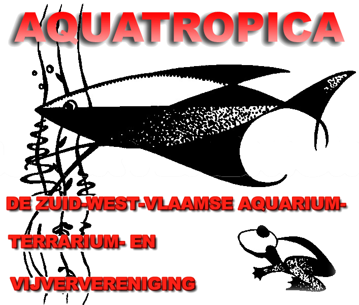 [Logo Aquatropica]